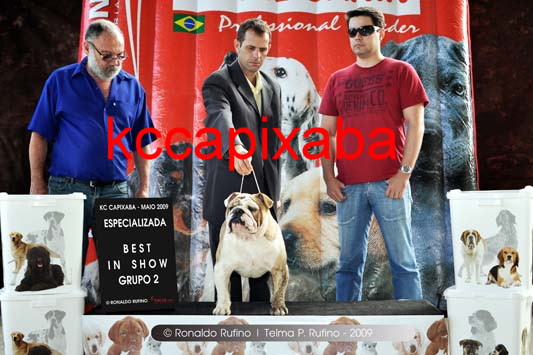 Clique sobre a foto para fechar